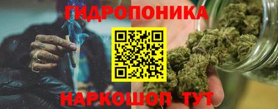 трава Пугачёв