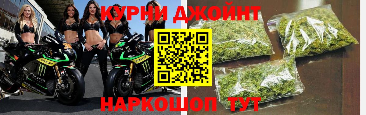 Каннабис индика Новокубанск